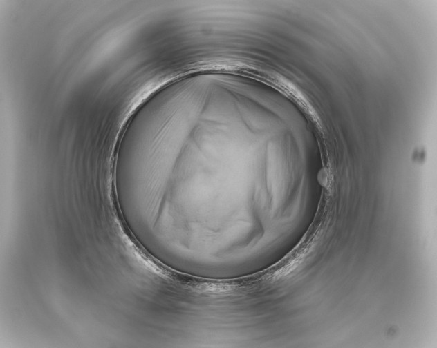 X0000093620802200711051238