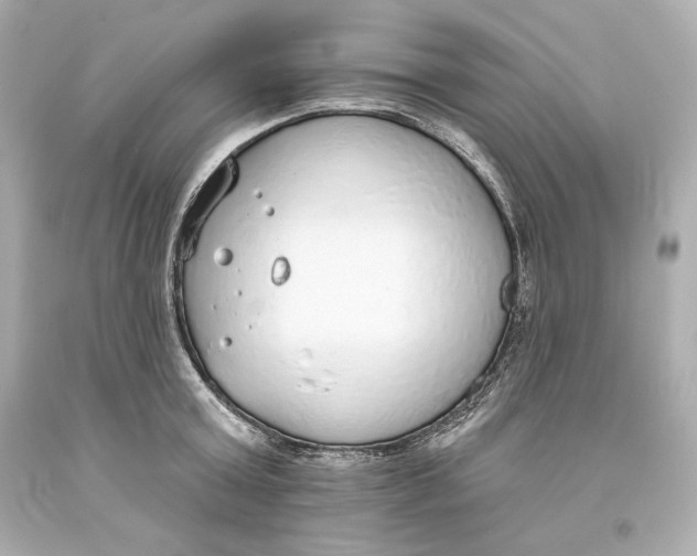 X0000093620803200711051238