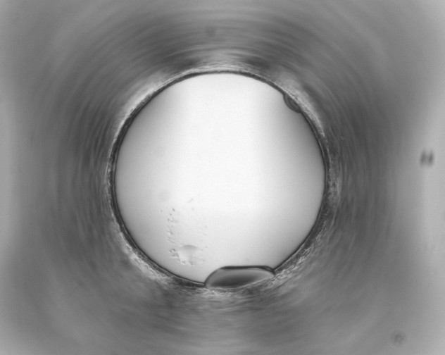 X0000093620805200711051238