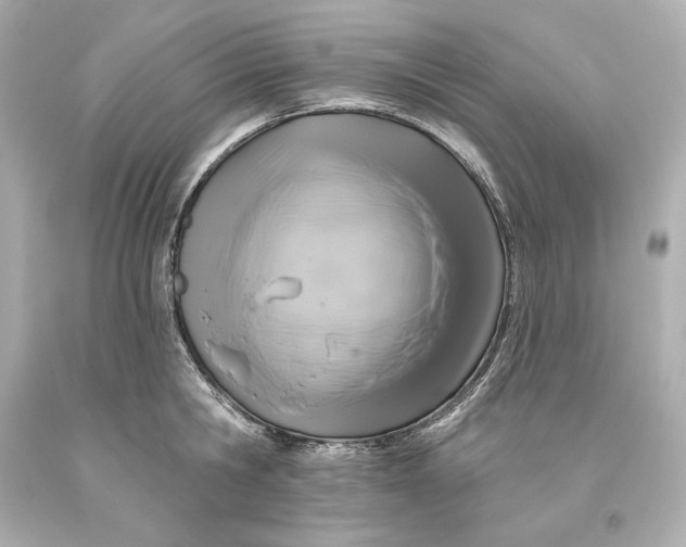 X0000093620806200711051238