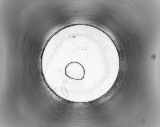 X0000093620807200711051238