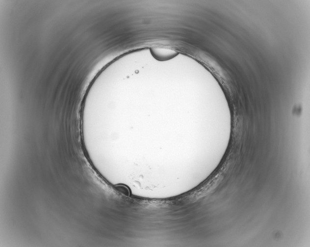 X0000093620808200711051238