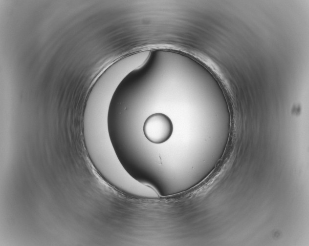 X0000093620809200711051238