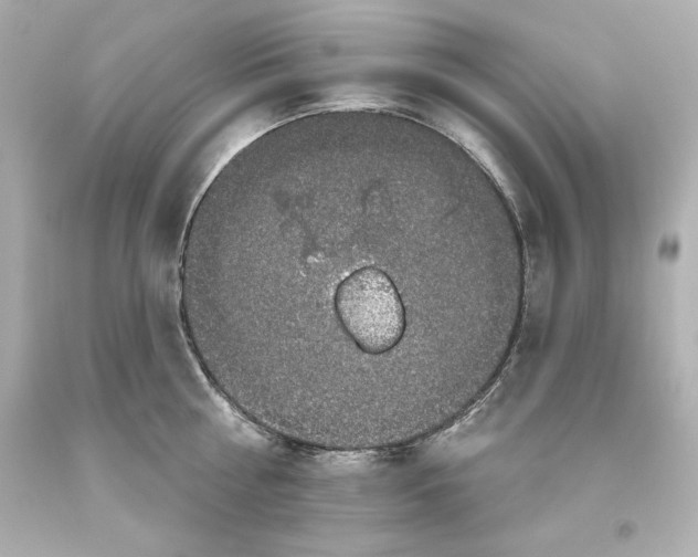 X0000093620810200711051238