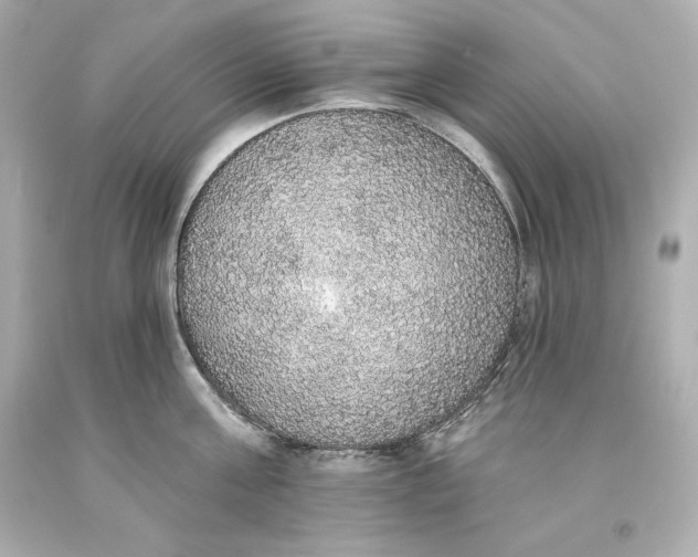 X0000093620811200711051238