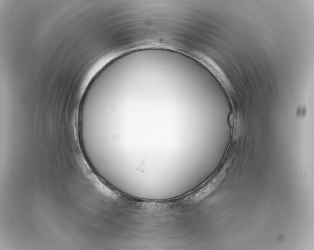 X0000093620812200711051238