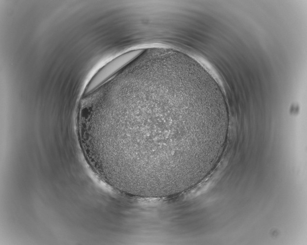 X0000093620813200711051238