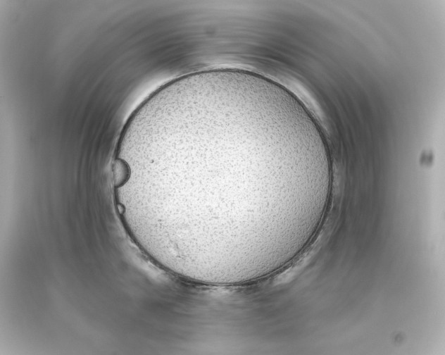 X0000093620814200711051238