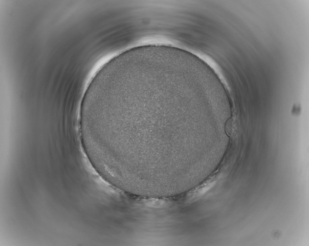 X0000093620815200711051238