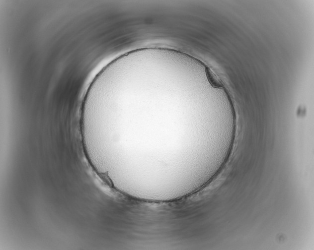 X0000093620816200711051238