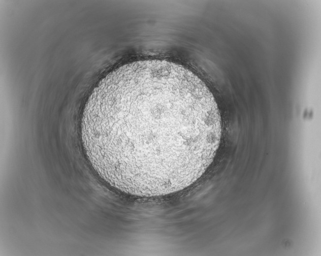 X0000093620817200711051237