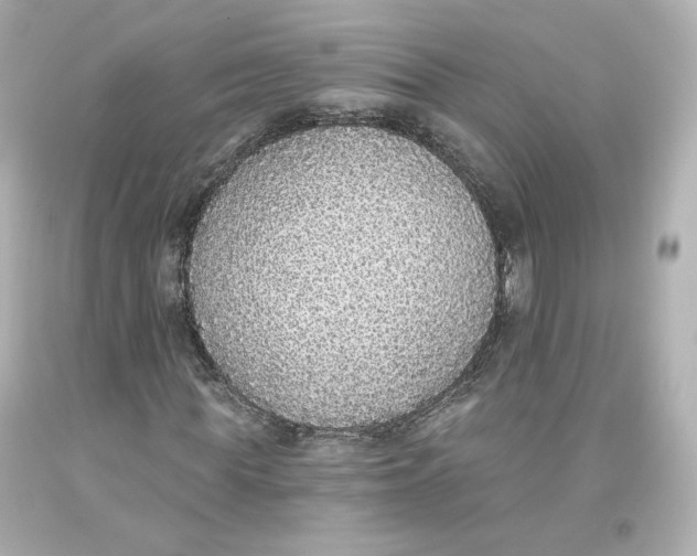 X0000093620819200711051237