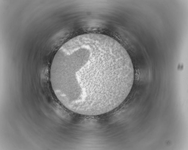 X0000093620820200711051237