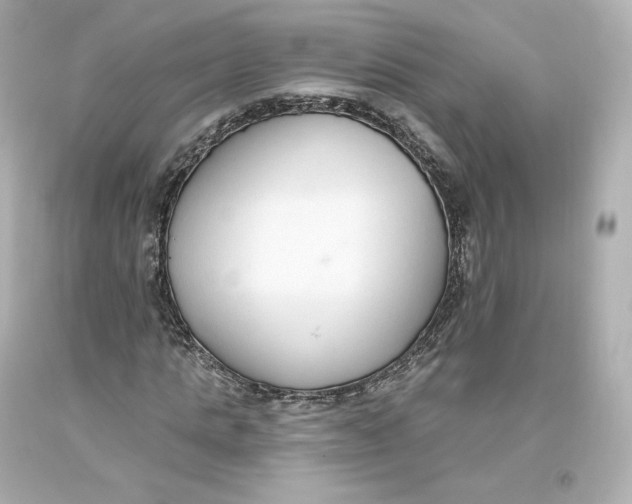 X0000093620821200711051237