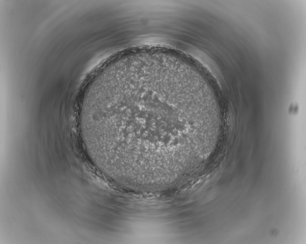 X0000093620823200711051237