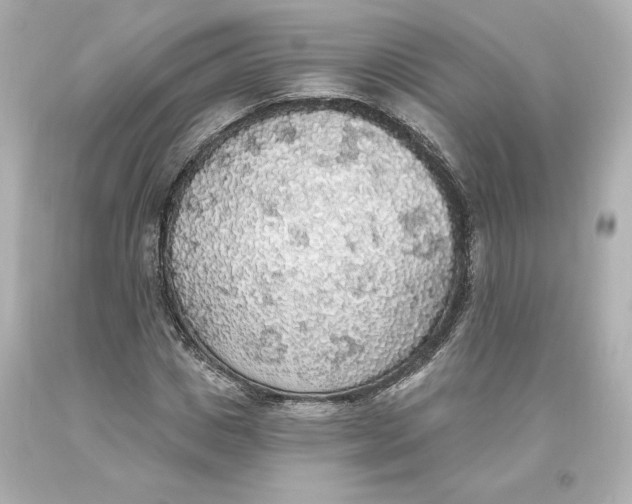 X0000093620825200711051237