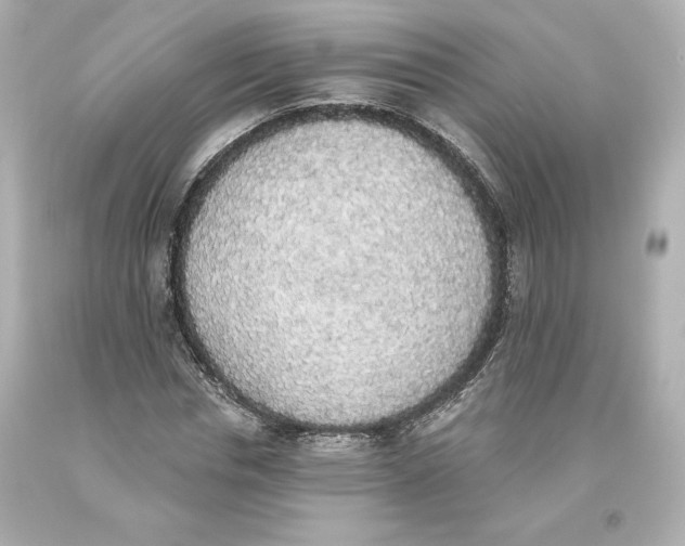 X0000093620826200711051237