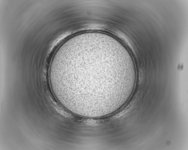 X0000093620827200711051237