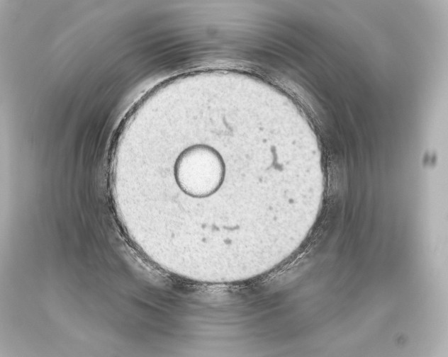 X0000093620828200711051237