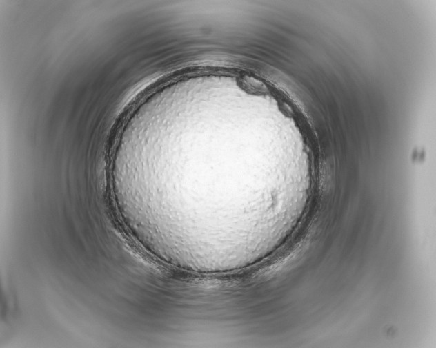 X0000093620829200711051237