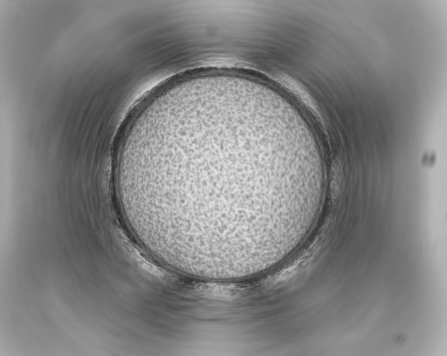 X0000093620831200711051237