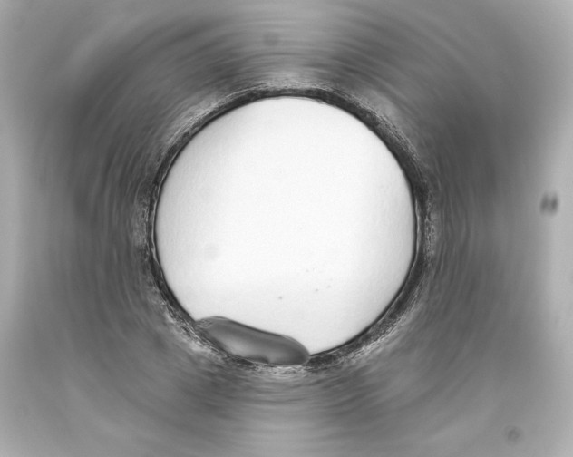 X0000093620833200711051237