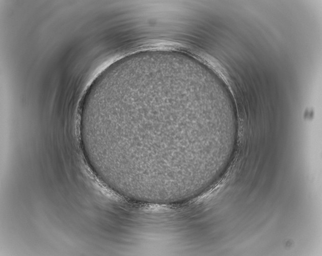 X0000093620835200711051237