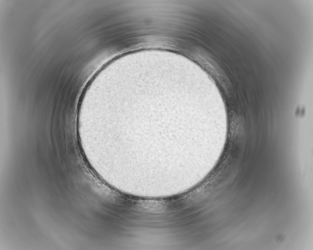 X0000093620836200711051237