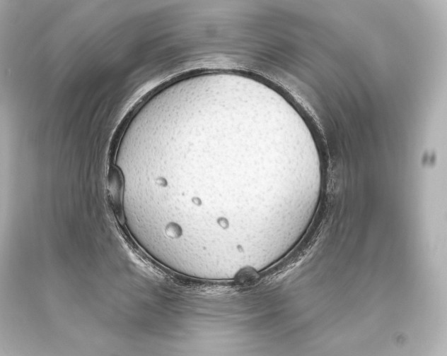 X0000093620837200711051237