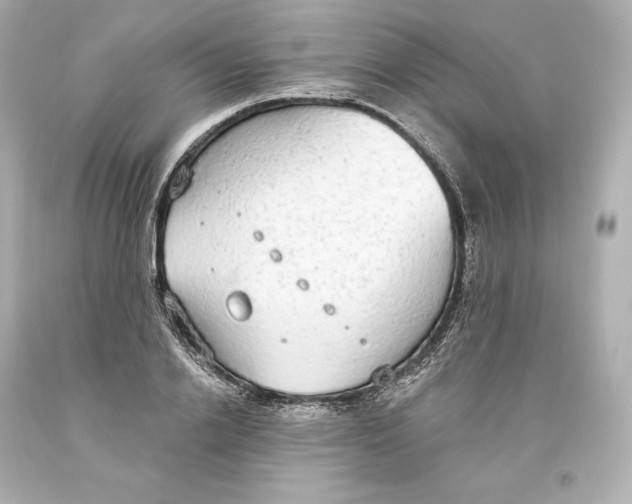 X0000093620838200711051237