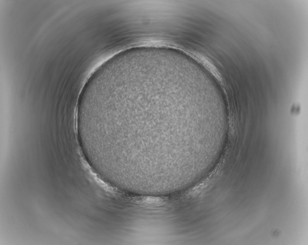 X0000093620839200711051237