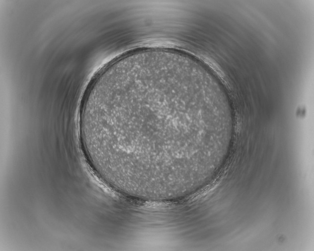 X0000093620840200711051237