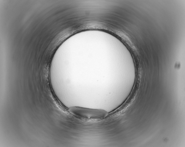 X0000093620841200711051237