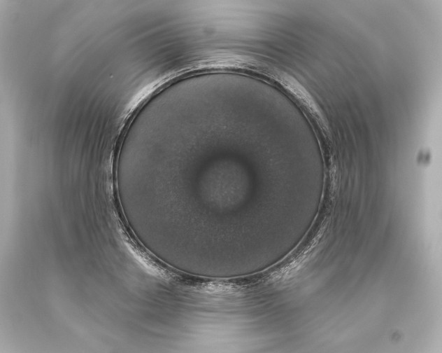 X0000093620842200711051237