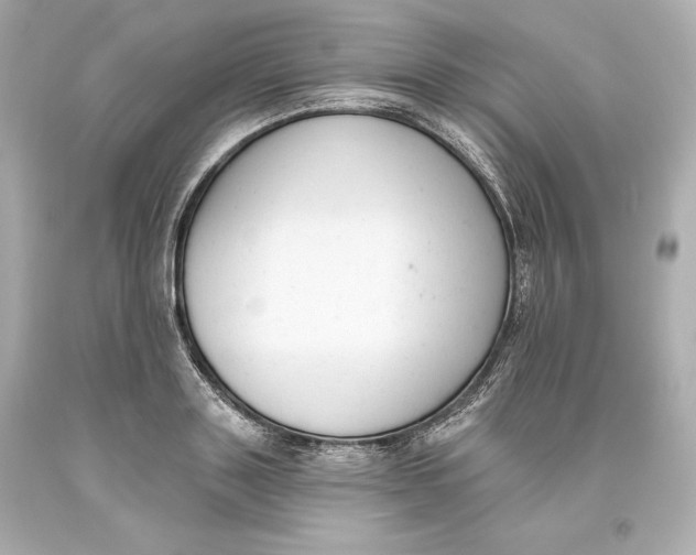 X0000093620843200711051237