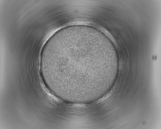 X0000093620844200711051237