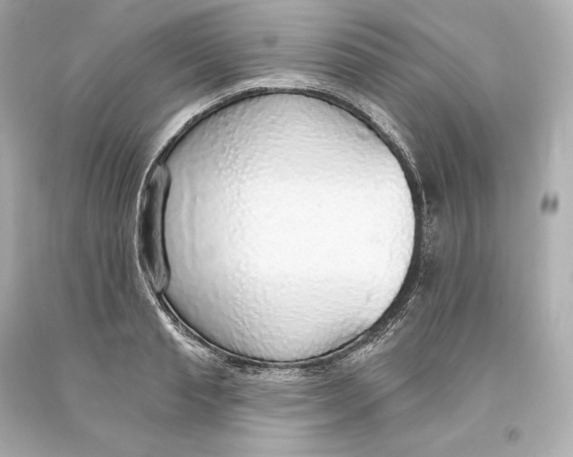 X0000093620845200711051237