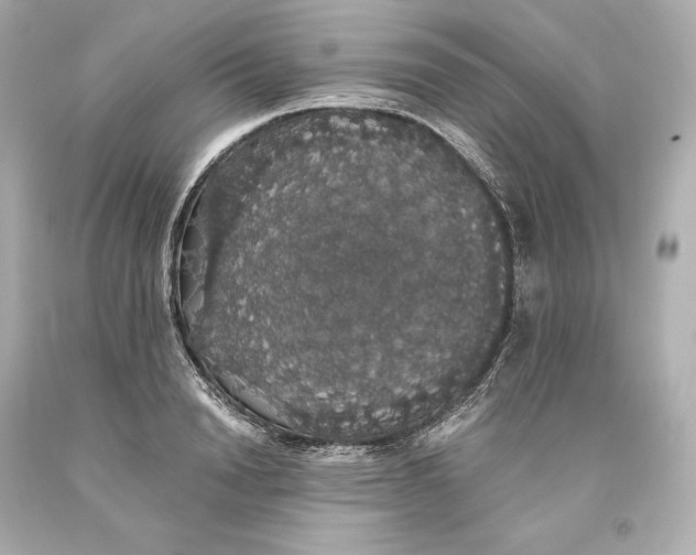 X0000093620846200711051237