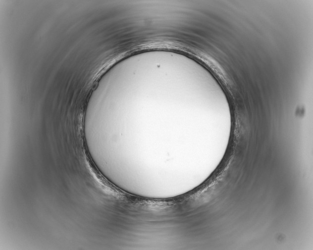 X0000093620849200711051237