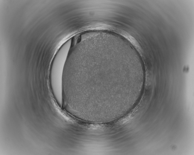 X0000093620850200711051237