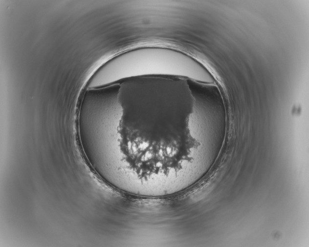 X0000093620853200711051237