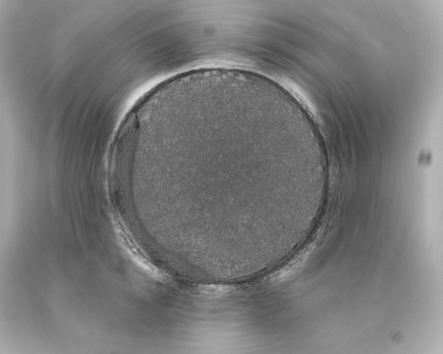 X0000093620854200711051237