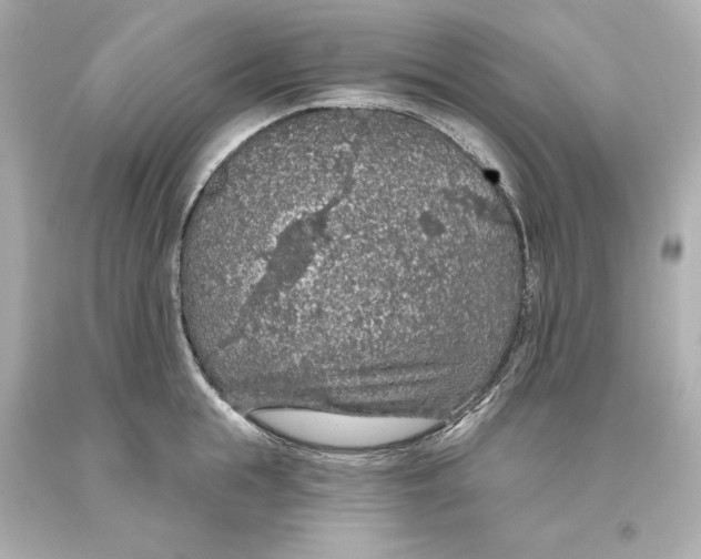 X0000093620855200711051237