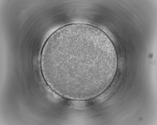 X0000093620856200711051238