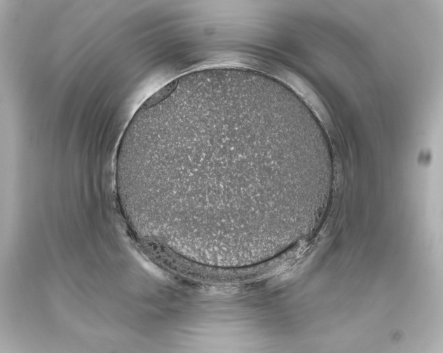 X0000093620858200711051238