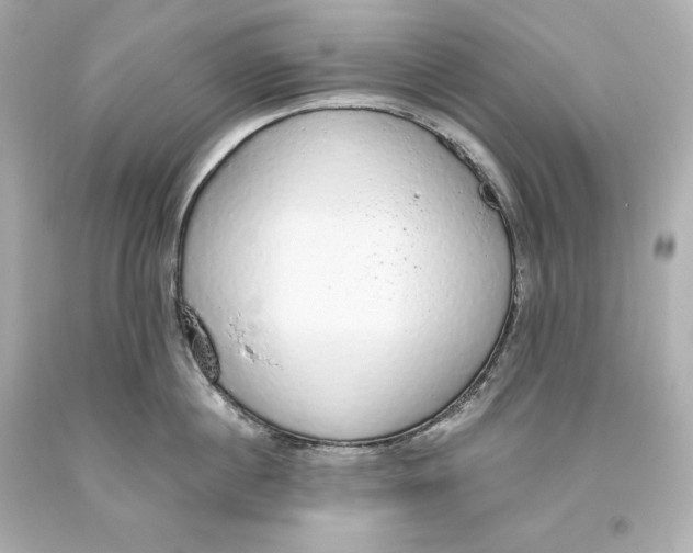 X0000093620860200711051238