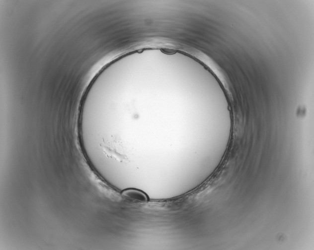 X0000093620861200711051238