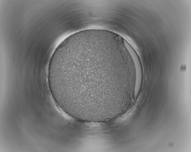 X0000093620862200711051238