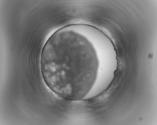 X0000093620863200711051238