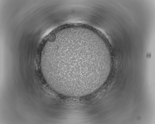 X0000093620871200711051237